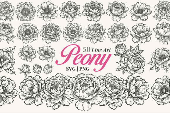Download Peony Flower Line Art Clipart - Flower line art Collection