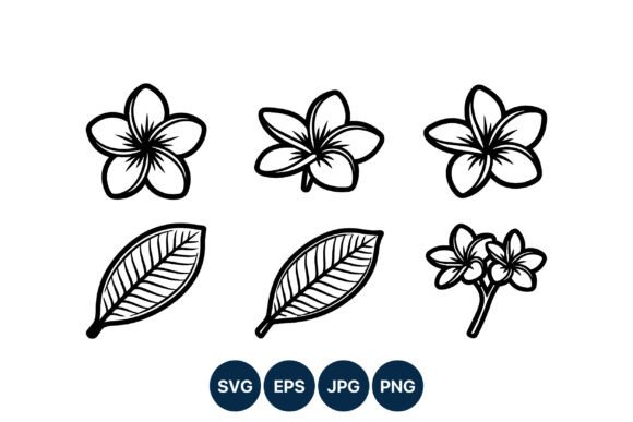 Download Plumeria Flower Line Art Vector Set - Flower line art Collection