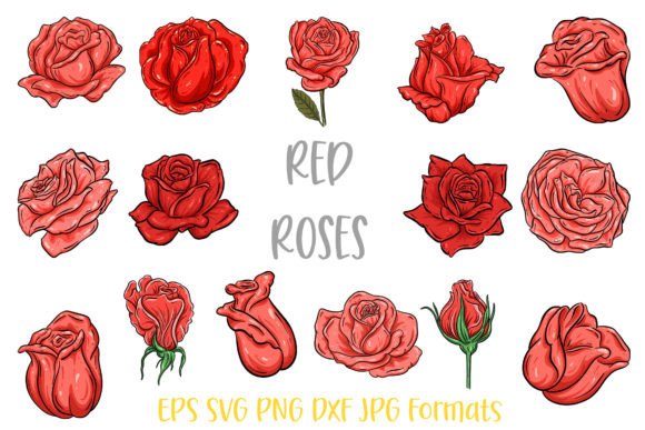 Download Red  Rose Flower Line Art Illustrations - Flower line art Collection