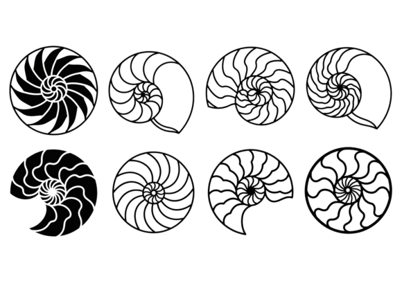 Download Nautilus Shell SVG Clipart Bundle - Bundle Collection